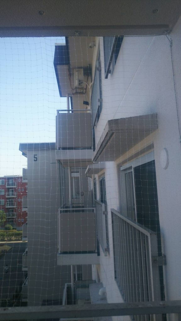 千葉県柏市のマンションの鳩駆除事例
