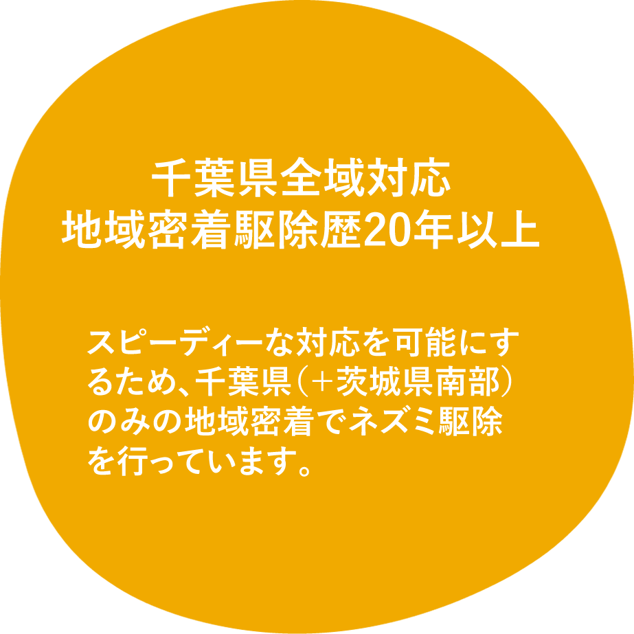 千葉県全域対応 地域密着駆除歴20年 スピーディーな対応を可能にするため、千葉県（＋茨城県南部）のみの地域密着でネズミ駆除を行っています。