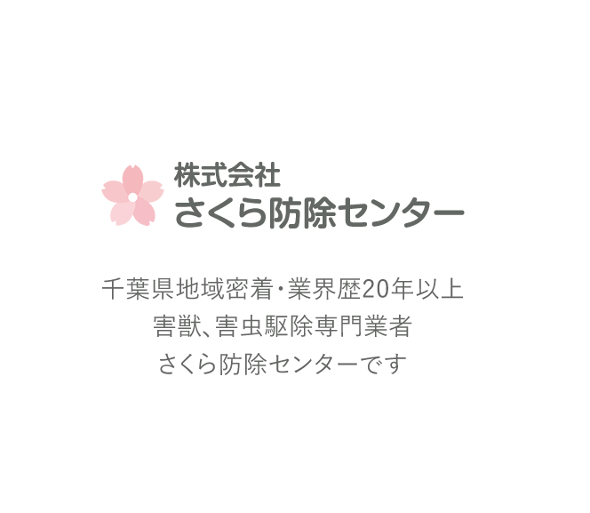 千葉県地域密着・業界歴20年以上。害獣、害虫駆除専門業者のさくら防除センターです。