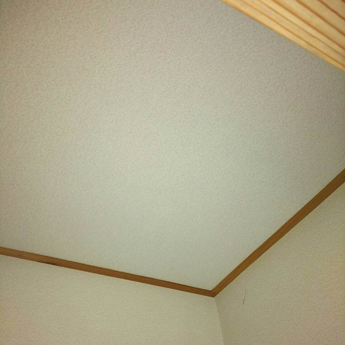 いすみ市のアライグマ駆除調査