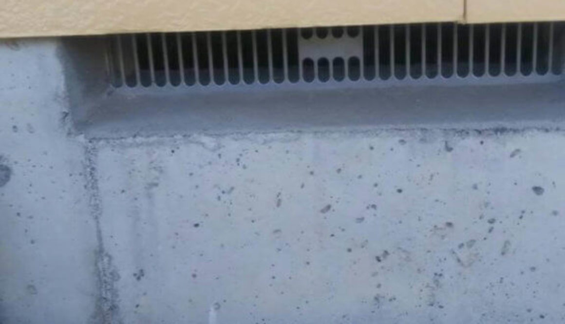 ネズミ駆除は侵入ルートの調査がカギ