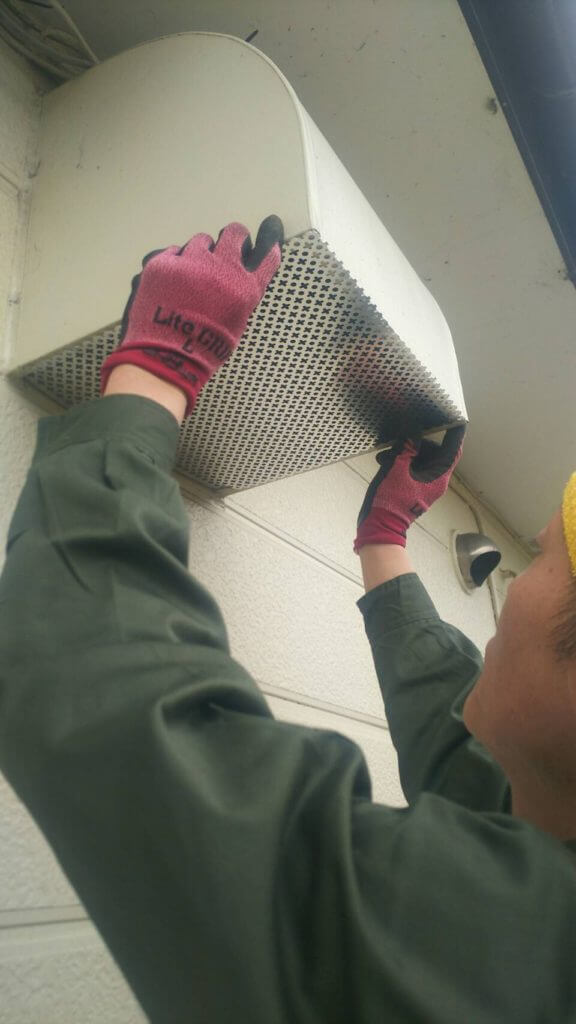 船橋市のネズミ駆除にお伺いいたしました