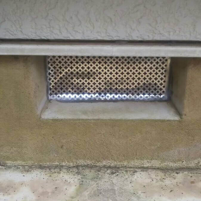 ネズミだけでなく害虫対策にも