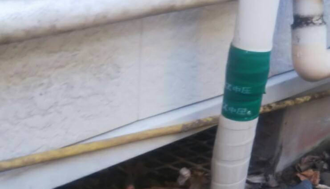 印西市のネズミ駆除（築30年戸建）