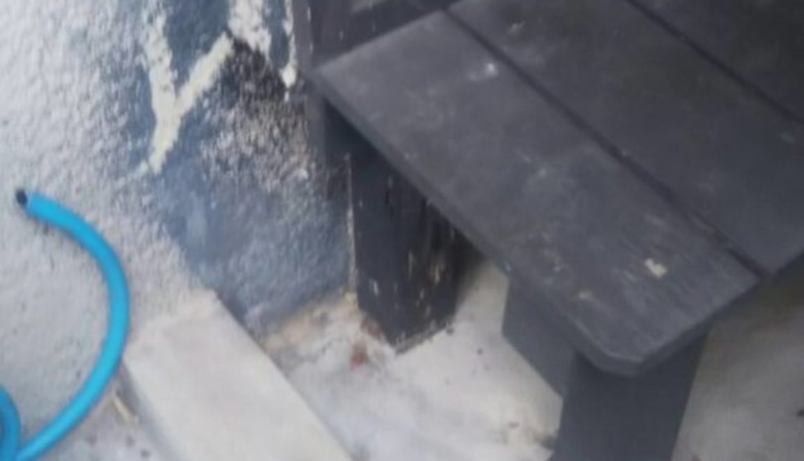 富里市のシロアリ駆除事例